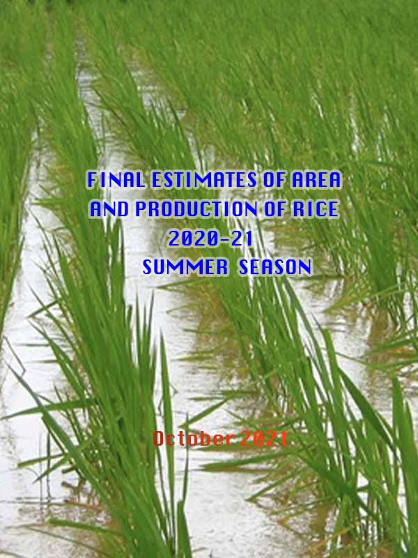 Final estimates of Area and Production of rice summer 2020-21
