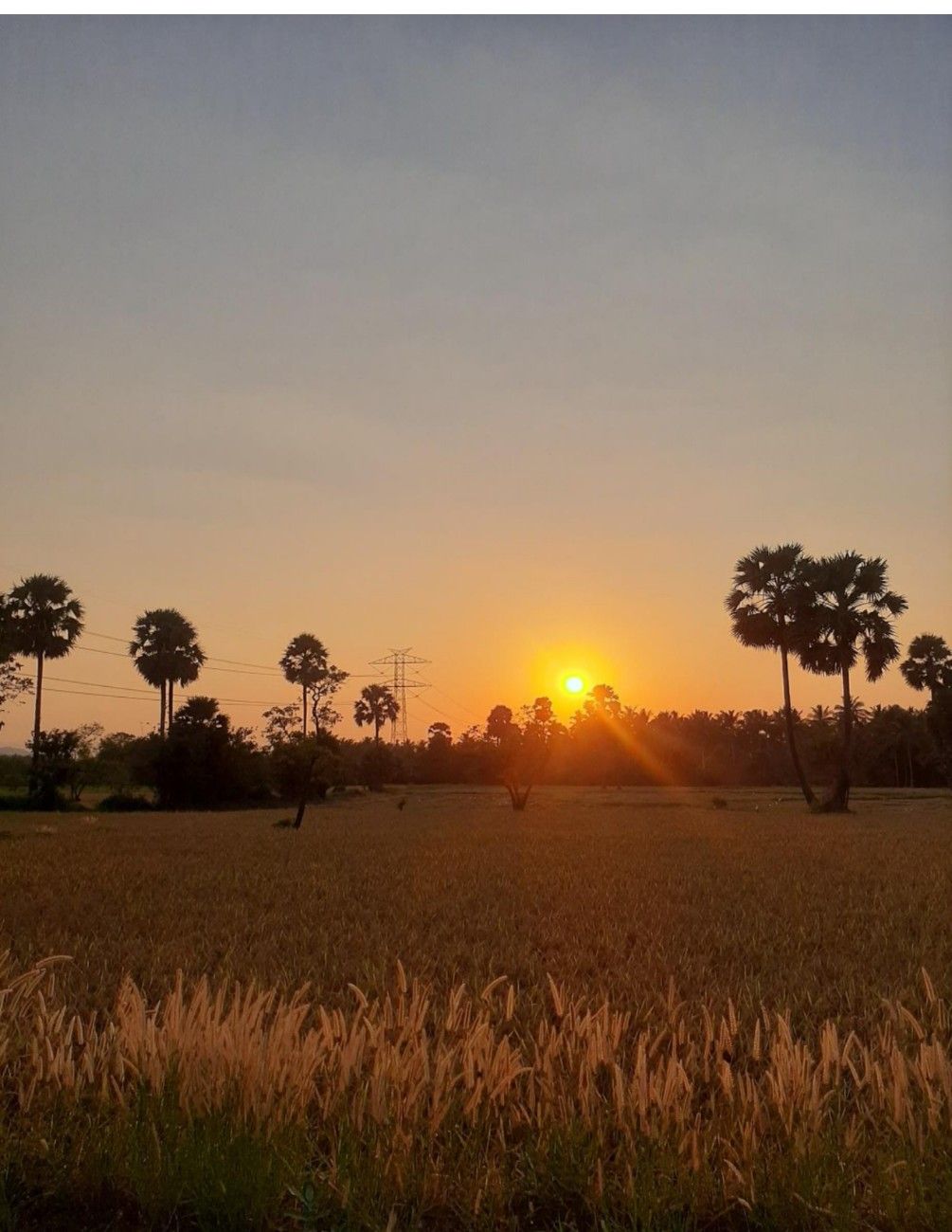 Evaluation Study on Soil Conservation in Palakkad District 2022-23