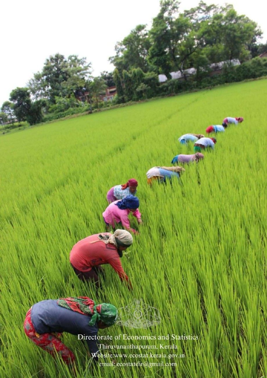 Annual Review of Crop Statistics System in Kerala 2024-25